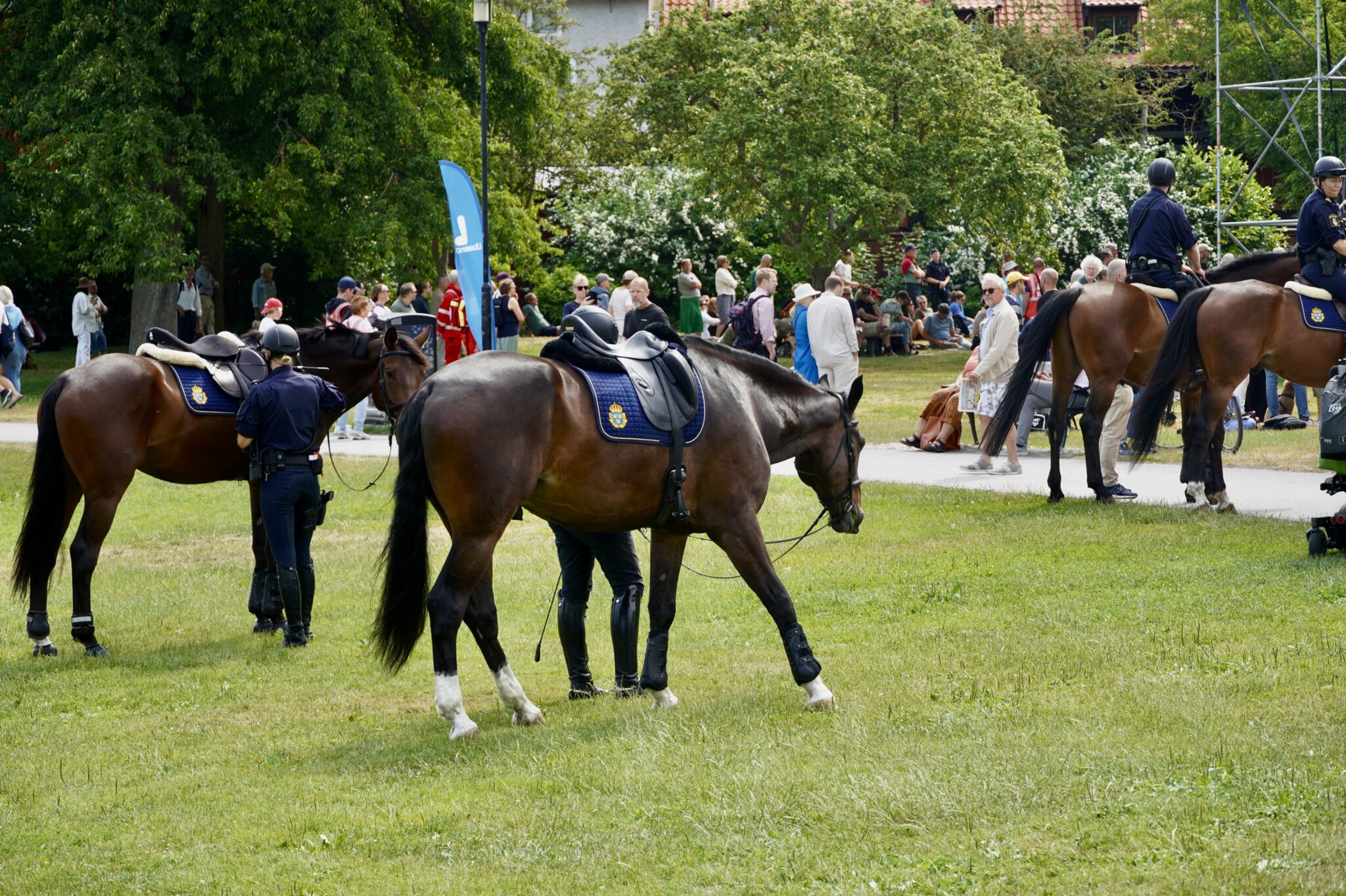 Polishästar i Almedalen
